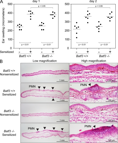 An external file that holds a picture, illustration, etc.
Object name is JEM_20091627_RGB_Fig6.jpg