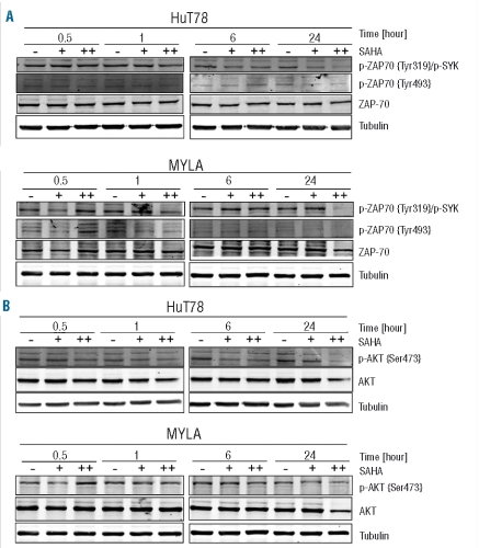 An external file that holds a picture, illustration, etc.
Object name is 95613.fig2.jpg