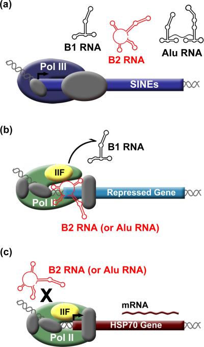 An external file that holds a picture, illustration, etc.
Object name is nihms-174653-f0001.jpg