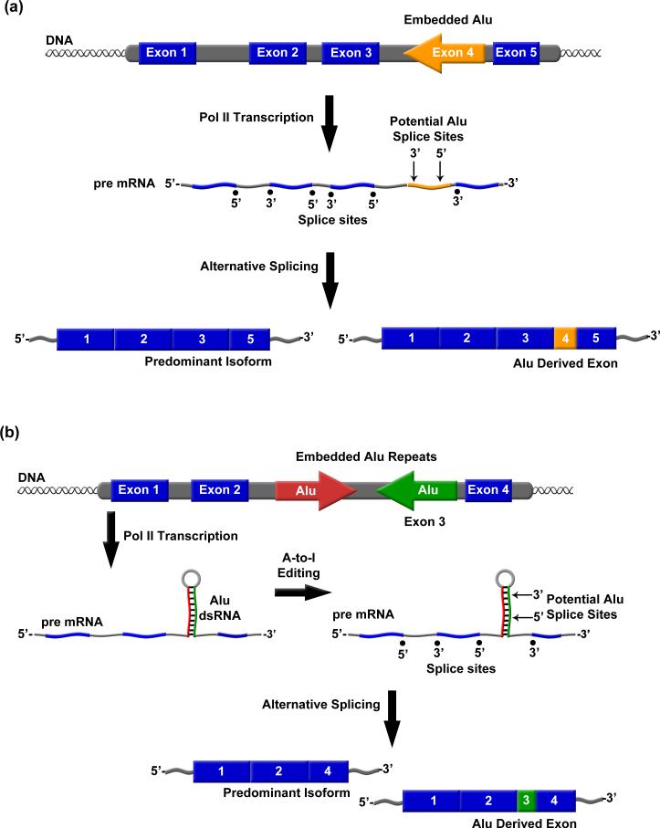 An external file that holds a picture, illustration, etc.
Object name is nihms-174653-f0003.jpg