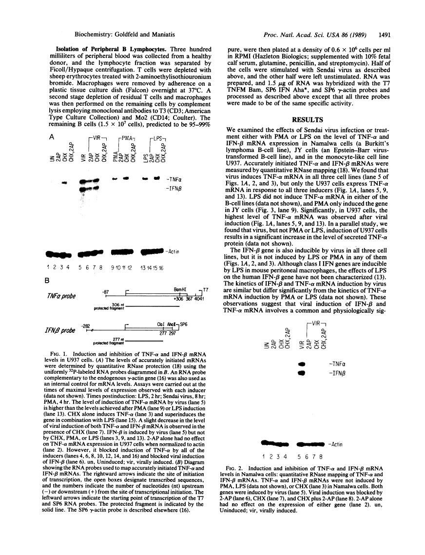 icon of scanned page 1491