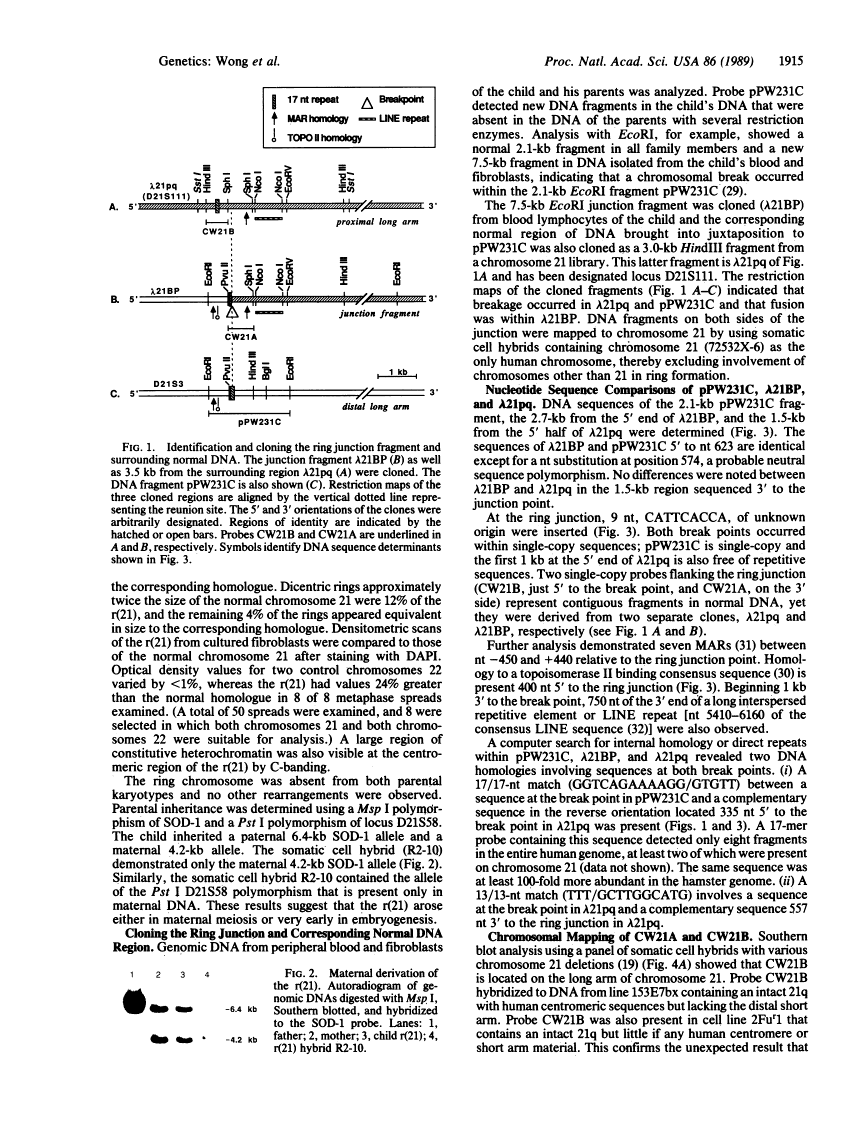 icon of scanned page 1915