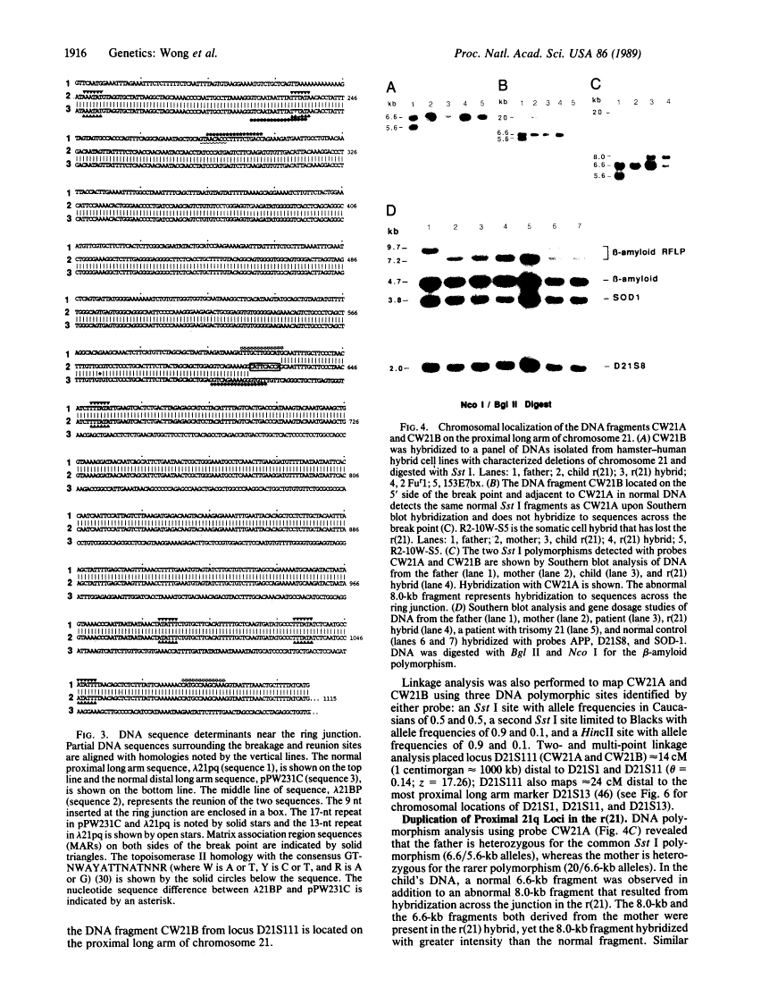 icon of scanned page 1916