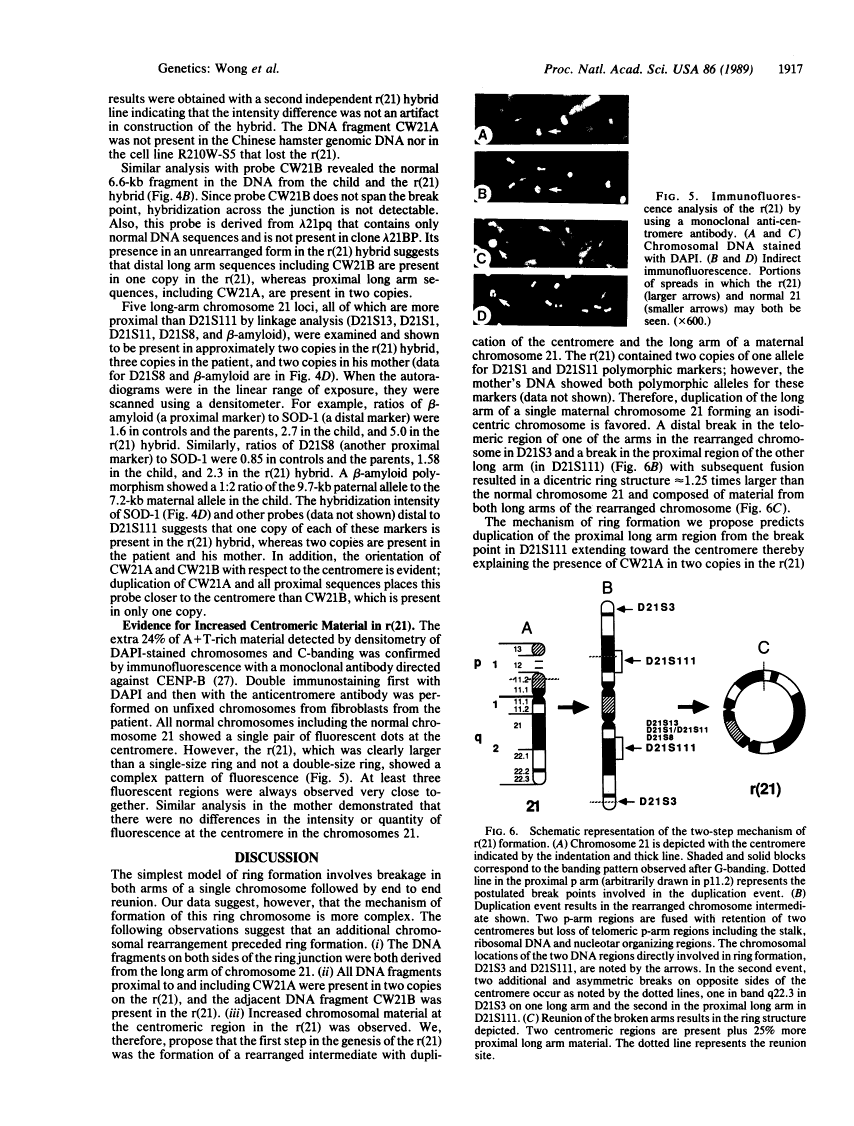 icon of scanned page 1917