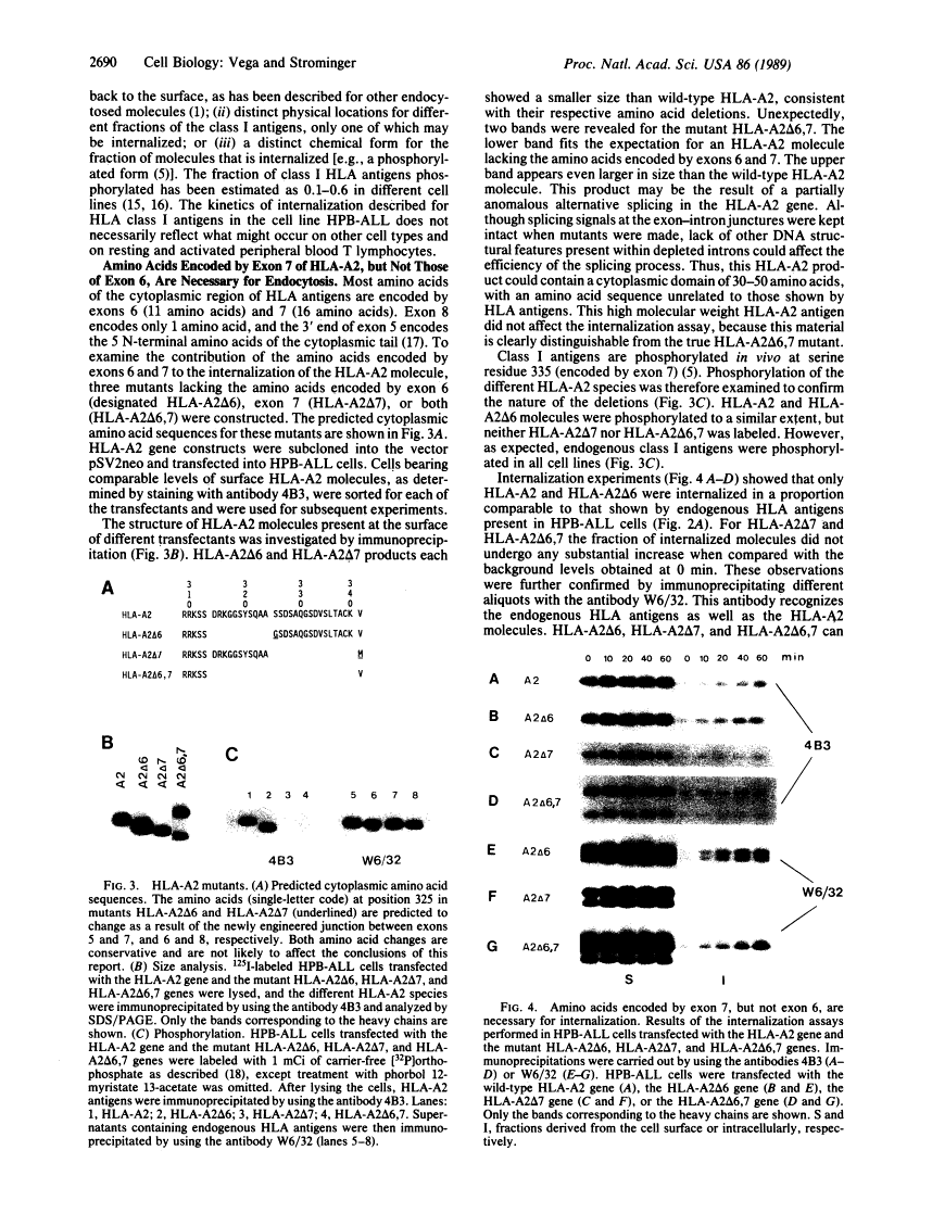 icon of scanned page 2690