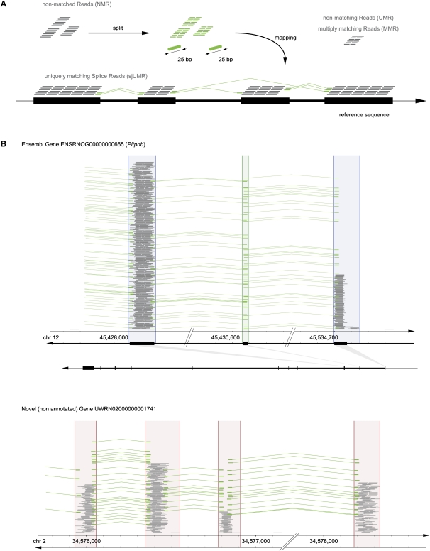 An external file that holds a picture, illustration, etc.
Object name is 847fig3.jpg