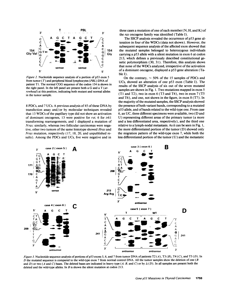 icon of scanned page 1755