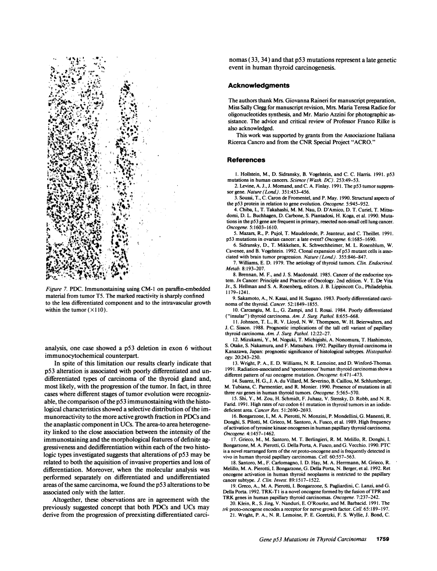 icon of scanned page 1759