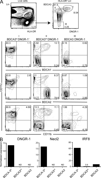 An external file that holds a picture, illustration, etc.
Object name is JEM_20092618_LW_Fig1.jpg