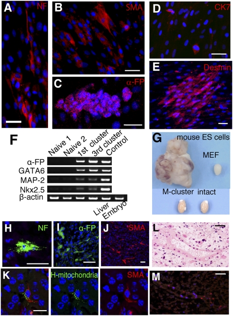 An external file that holds a picture, illustration, etc.
Object name is pnas.0911647107fig02.jpg