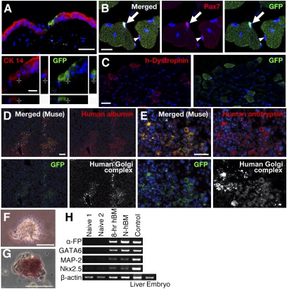 An external file that holds a picture, illustration, etc.
Object name is pnas.0911647107fig03.jpg