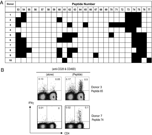 An external file that holds a picture, illustration, etc.
Object name is pnas.0915086107fig03.jpg