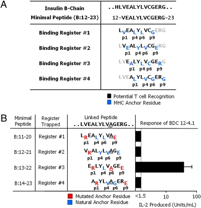 An external file that holds a picture, illustration, etc.
Object name is pnas.1006545107fig01.jpg