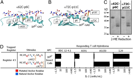 An external file that holds a picture, illustration, etc.
Object name is pnas.1006545107fig04.jpg