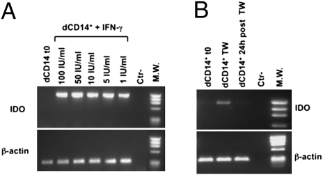 An external file that holds a picture, illustration, etc.
Object name is pnas.1001749107fig05.jpg