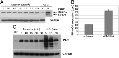 An external file that holds a picture, illustration, etc.
Object name is pnas.1006542107fig01.jpg