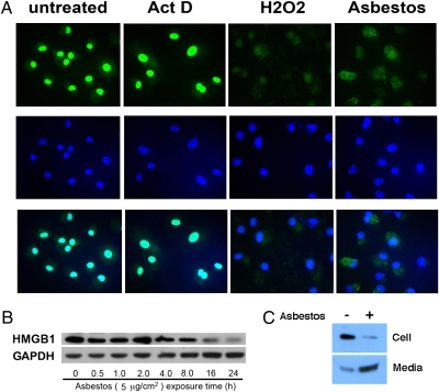 An external file that holds a picture, illustration, etc.
Object name is pnas.1006542107fig03.jpg