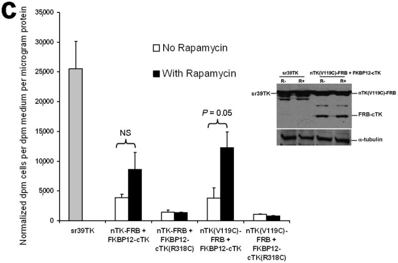 An external file that holds a picture, illustration, etc.
Object name is nihms201176f1c.jpg