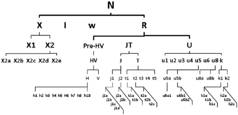 An external file that holds a picture, illustration, etc.
Object name is nihms202058f1.jpg