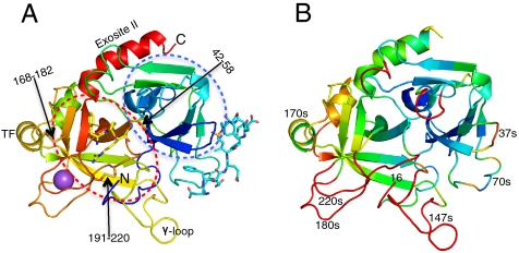 An external file that holds a picture, illustration, etc.
Object name is pnas.1005255107fig1.jpg