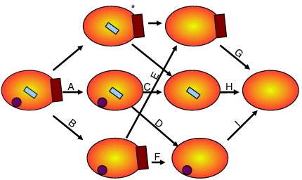 An external file that holds a picture, illustration, etc.
Object name is pnas.1005255107fig2.jpg