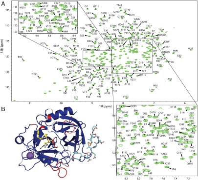 An external file that holds a picture, illustration, etc.
Object name is pnas.1005255107fig3.jpg