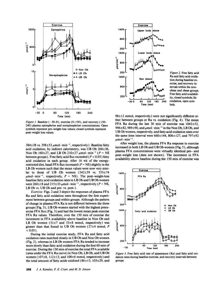 icon of scanned page 258