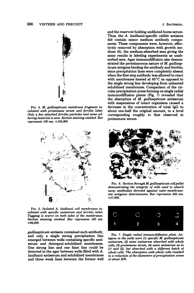 icon of scanned page 686