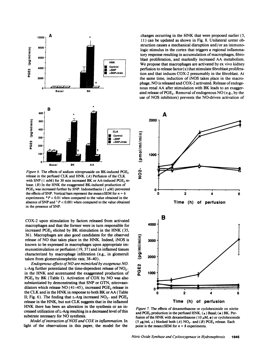 icon of scanned page 1945