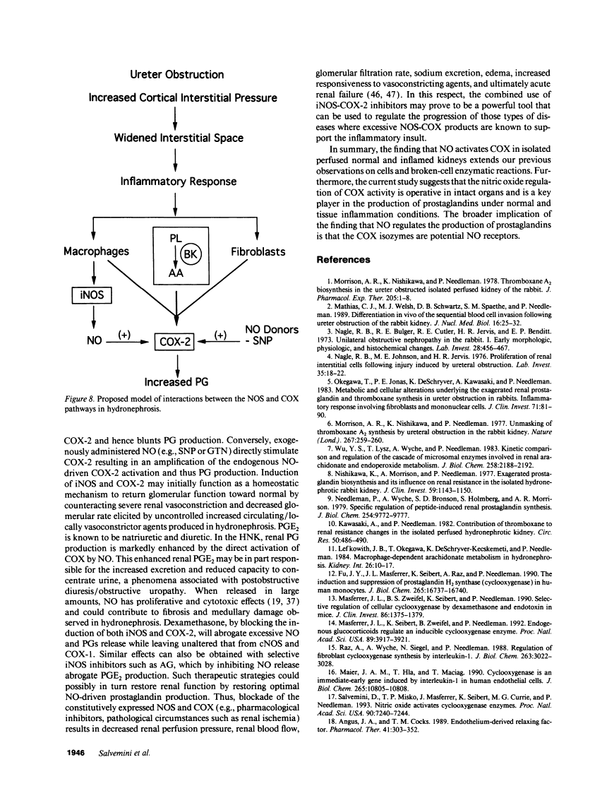 icon of scanned page 1946