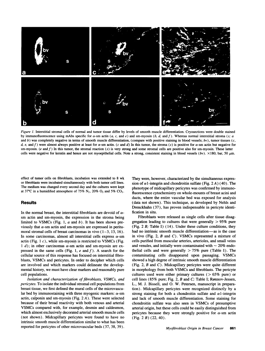 icon of scanned page 861