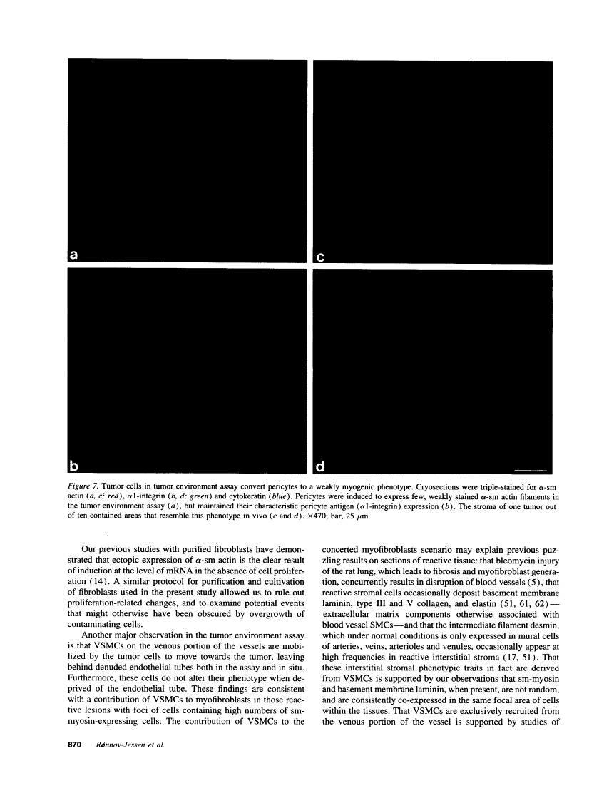 icon of scanned page 870