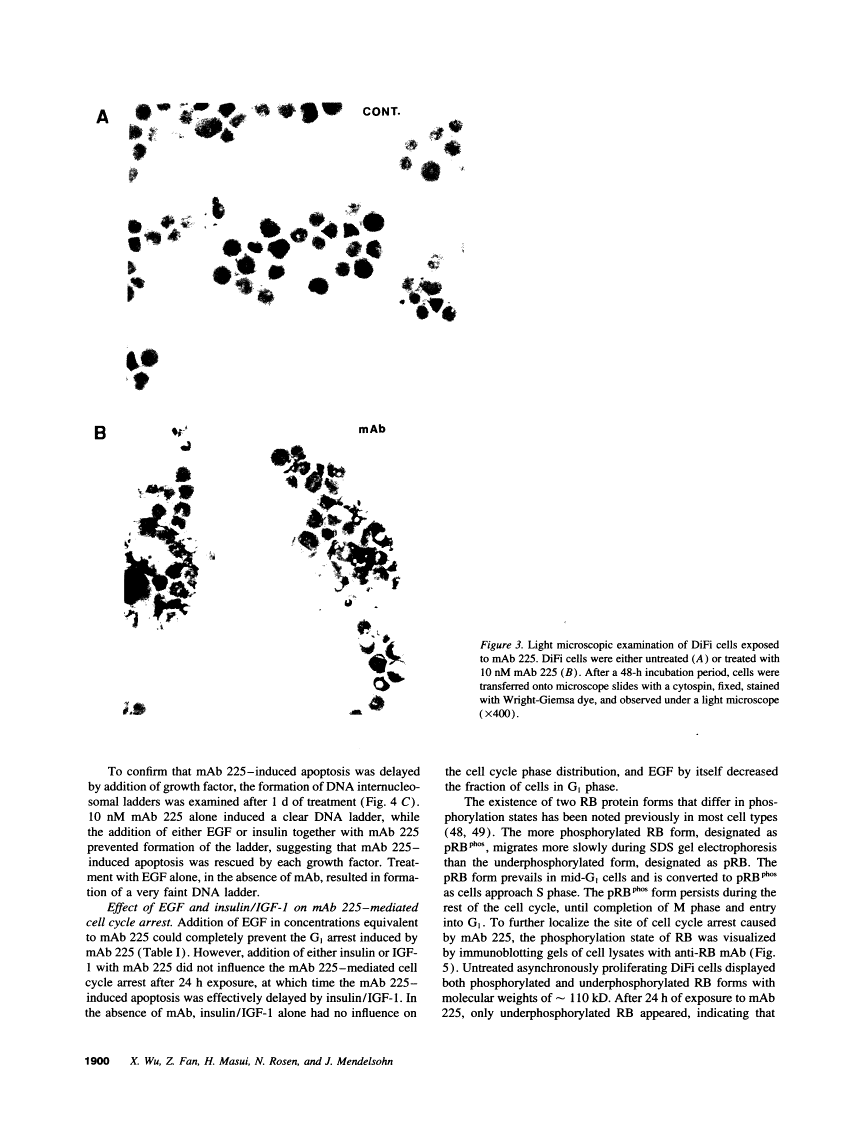 icon of scanned page 1900