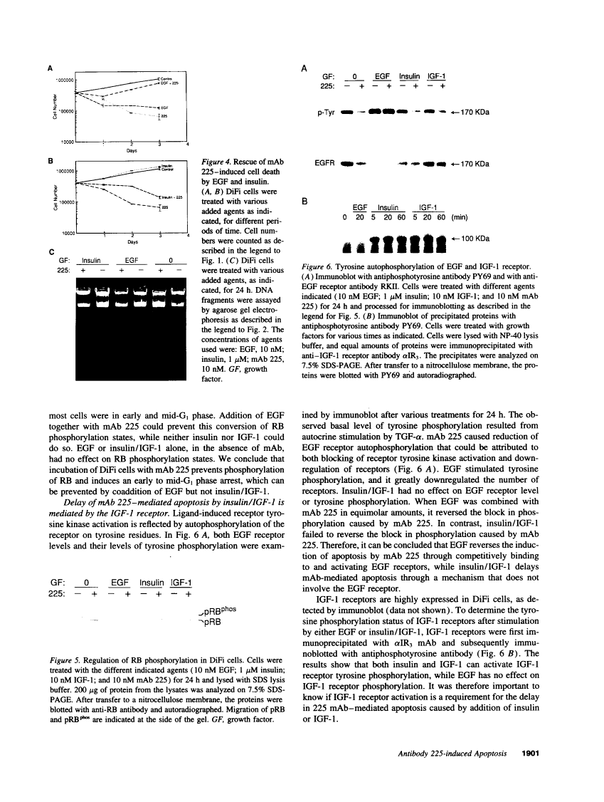 icon of scanned page 1901