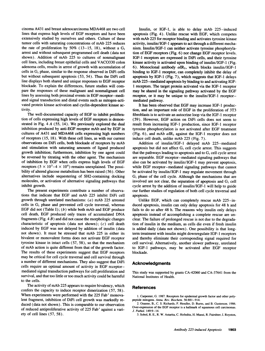 icon of scanned page 1903