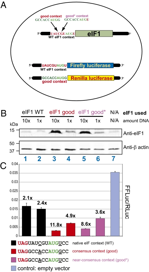 An external file that holds a picture, illustration, etc.
Object name is pnas.1009269107fig02.jpg