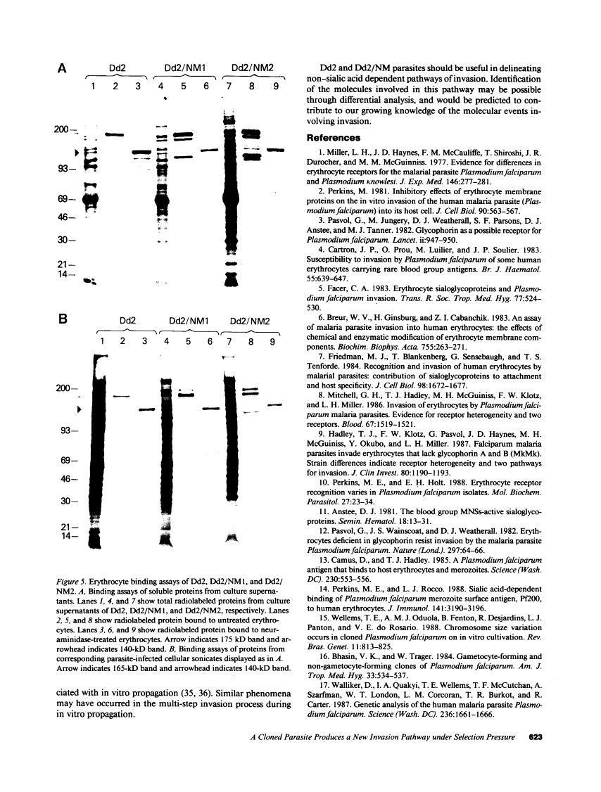 icon of scanned page 623