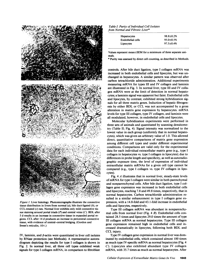 icon of scanned page 1643