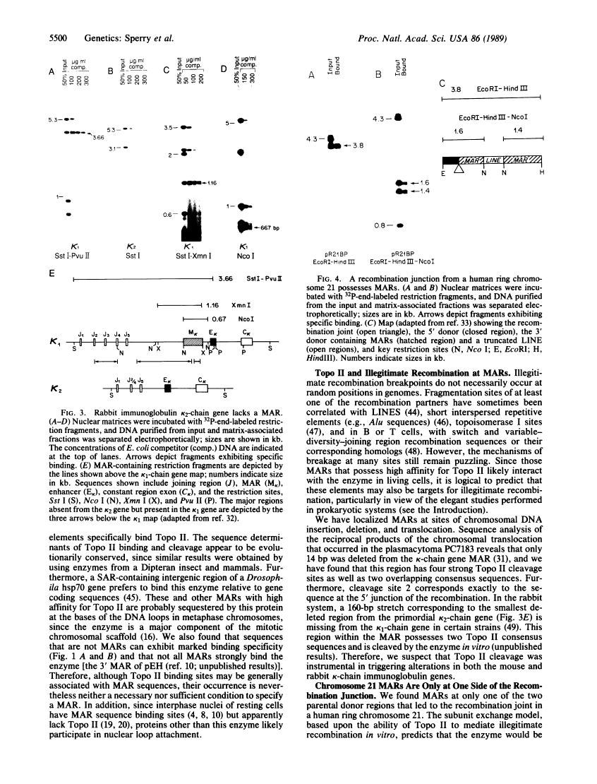 icon of scanned page 5500