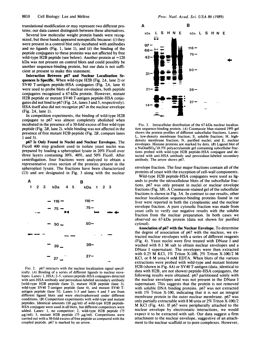 icon of scanned page 8810