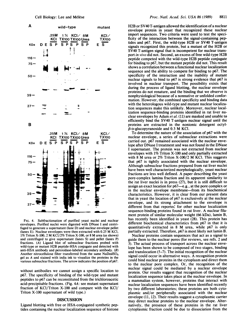 icon of scanned page 8811