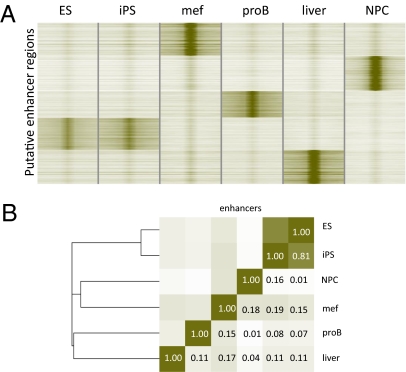 An external file that holds a picture, illustration, etc.
Object name is pnas.1016071107fig04.jpg