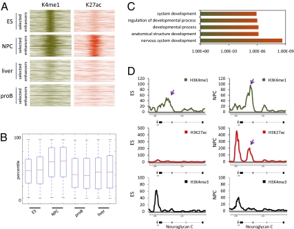 An external file that holds a picture, illustration, etc.
Object name is pnas.1016071107fig06.jpg