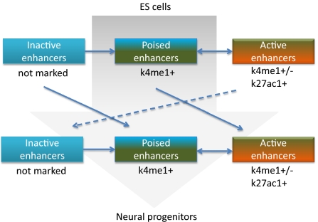 An external file that holds a picture, illustration, etc.
Object name is pnas.1016071107fig07.jpg