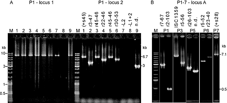 An external file that holds a picture, illustration, etc.
Object name is mmi0079-0035-f5.jpg