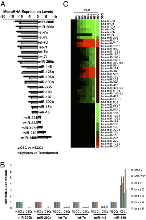 An external file that holds a picture, illustration, etc.
Object name is pnas.1018898108fig02.jpg