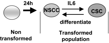 An external file that holds a picture, illustration, etc.
Object name is pnas.1018898108fig06.jpg