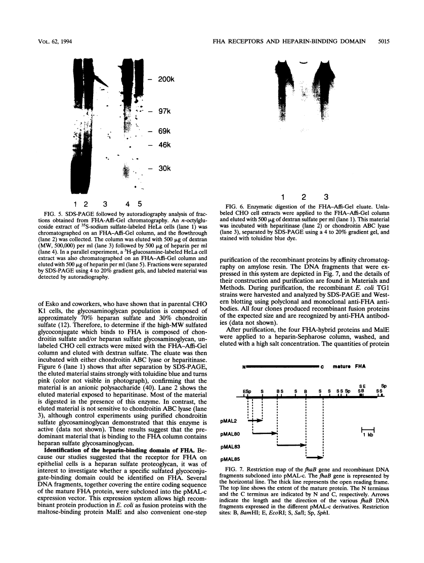 icon of scanned page 5015