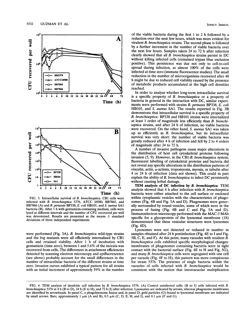 icon of scanned page 5532