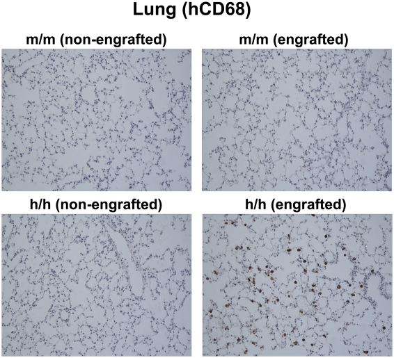 An external file that holds a picture, illustration, etc.
Object name is pnas.1019682108fig03.jpg